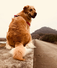 Ѱ���ë������������������