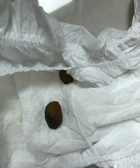 [����]�����Ӹ�ʳ�� ÿ�δ�������Ǻ�