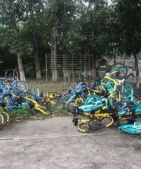 ġĹѧԺ򳡶˵ úܶȫµ