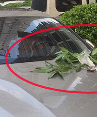 ������ͣ�� ���������˰ɣ�