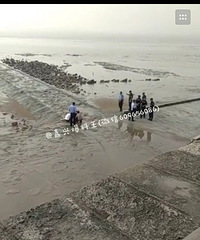 跳海自杀?今天上午 海盐观海园捞出一具尸体!