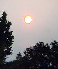 �Ϻ�������