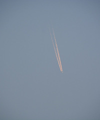 ���Ƿɻ����ǡ�������