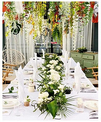 ��������ʦר�� ��ta��Լ�������ܻ�԰��