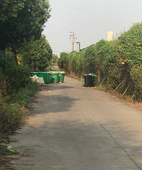 @相关部门 梅花洲景区西侧马路都快成了垃圾聚集地了