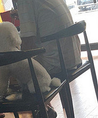 �ù����������ÿ���ι�� �ܿ��Ǳ��˸�����