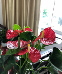 �����Ǹ�ֵ�ü��������