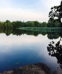 ��ʦ�ڿ���