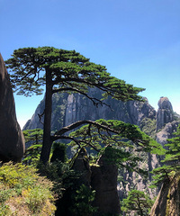 �����޲����������£���������ϸ衣