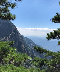 �����޲����������£���������ϸ衣