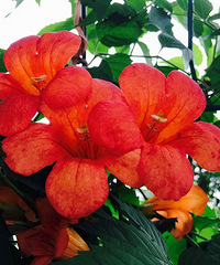 ��ʹ���ɹ���Ҳ�����ڿհ�