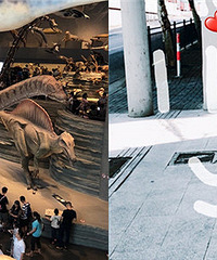 ���Թ�һ��Ĳ���� ��Ϣ���ô�