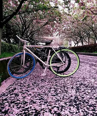 ��ɹУ԰��92��GG �����Ը��լ ���Ӽ���