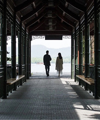 ֻԸ��һ���ģ����ײ�����