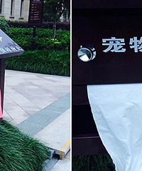 ���Ի���С�����������������