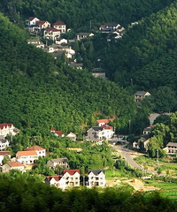 远离城市喧嚣 莫干山清新养肺二日之旅