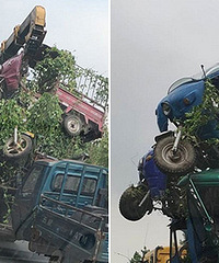 ���£��Ϻ����������������������