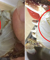 ���������з�������ˣ������ѳ���