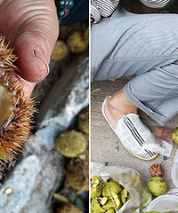 ���˼�ʮ���һ�μ� �²�����ɶ