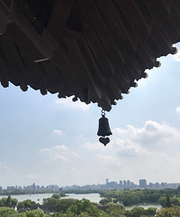 �������������鼦��