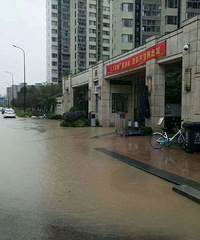 Ҧ�ҵ�ĳһ�߸ߵ�����¥�� ����С���ſھ��ܿ���...