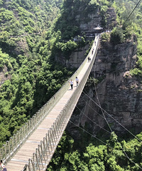 ��ɹ�����ա�87��MM ͨ����ҵ���� ϲ������Ԫ ���Ӽ���