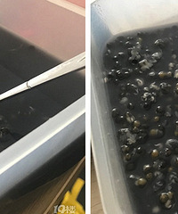 �����������̶��� �������ô�ڣ���