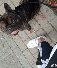 ������ţȮ