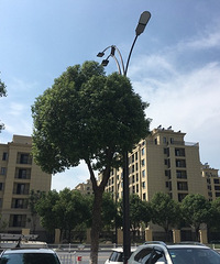 �������һȦ �������ｭ���������� �о��þ�����