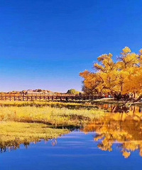 �������ܾ������⣬�����ܻ���ϲ�ΰ롣�Ĵ�