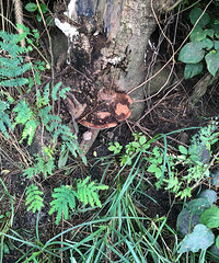 ����ʲô��