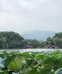 ���߼��34562��