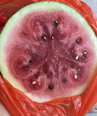 �����̼�