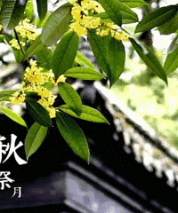 �������Ӱ�����������䡣