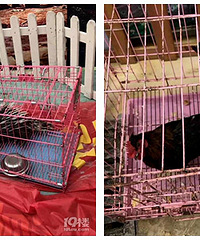 ˢ������Ȧ�ġ��������綯��԰�� ����ȴ�ǡ�