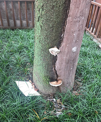 ���������°������  һ��������һ��