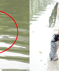 �����ˣ�������Ȼ�ܡ���ɡ��º�