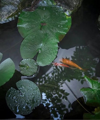 ���������ã�����������