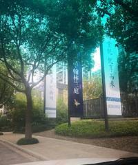 ���ѧ��¥���������������ô�� ��������Ҫ�����ˣ���