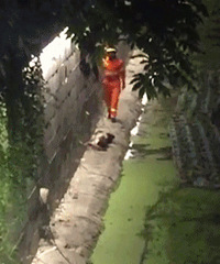 ��ҹ�ӵ��Ϸ��ָ��� һ������...