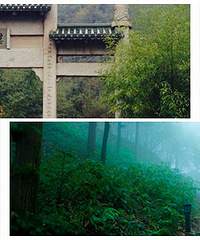 ��Ī��ɽ�������飡������ѵ� ������Ȼ����