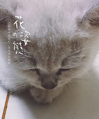 ����ʺ�١�88��GG ����181 ����ְҵ�� ��ס�Ϻ���