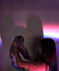 ����ʺ�١�94����ֽ ����169 ������ �����Ϻ���