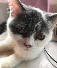 ����ʺ�١�91��GG ��ס�Ϻ���ϲ���Լ��� �Ը����