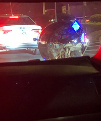 ����ʲô�� �ո��������������