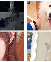 ɹ��������ӵĺ�Ӱ��Ӯ���ؿ��Ȱ�Ԫ��ֵ����