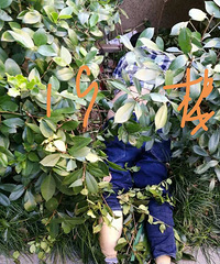 ���ٱ��磬����׹¥������110��120�Ѹϵ�...