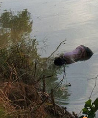 ���ٱ��磡������Ů���Ӻ��︡��