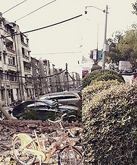 �ٻ��´�������� ǽ���� ����Ҳ����..