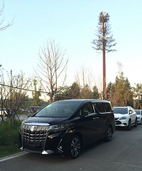 ���˽�ͷ·���� �Ӽ�30������� �͵��ݻ�������